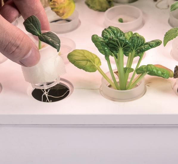 VegeBOX Accessories kit including: 30pcs planting basket, 30pcs sponge, 5pcs cap, 1pcs seed box, non-woven bag, user manual, measuring cup, tweezer.
